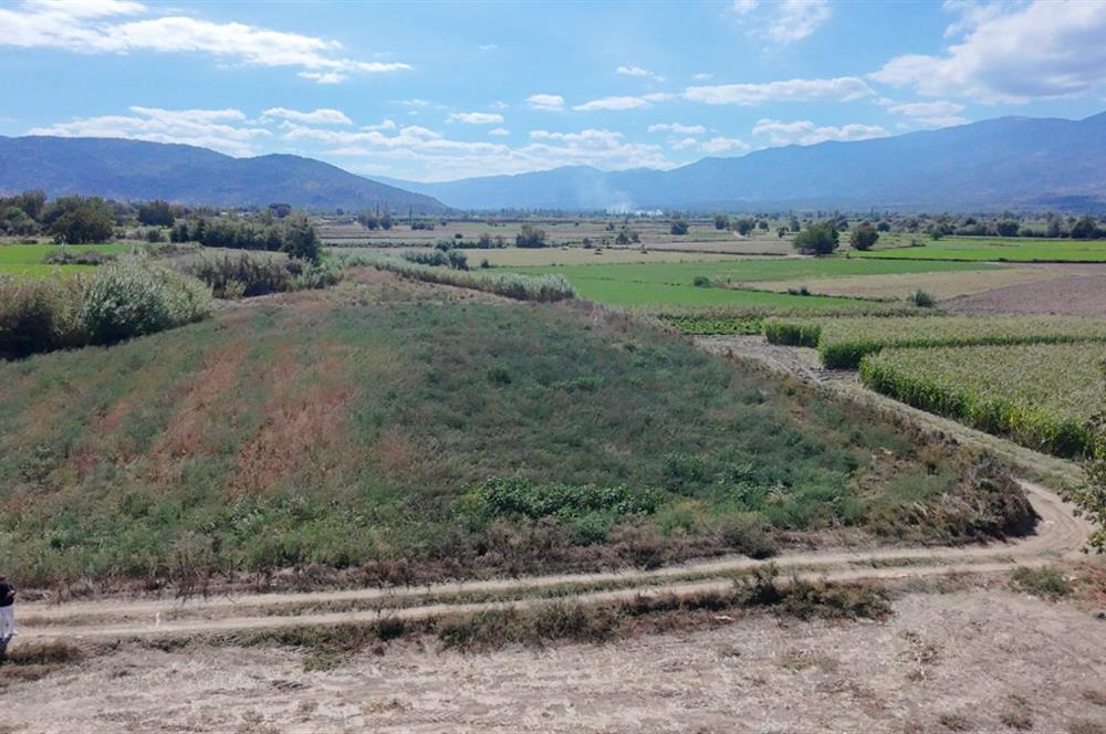 Aydın Nazilli Satılık 6.640 m2 Tarla