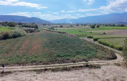 Aydın Nazilli Satılık 6.640 m2 Tarla