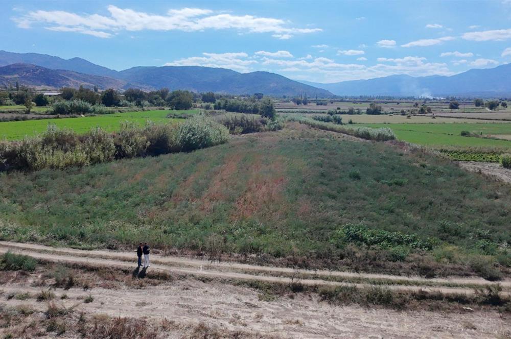 Aydın Nazilli Satılık 6.640 m2 Tarla