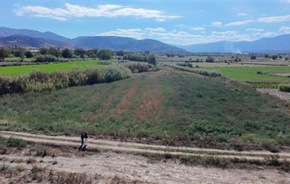 Aydın Nazilli Satılık 6.640 m2 Tarla