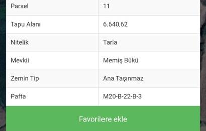 Aydın Nazilli Satılık 6.640 m2 Tarla