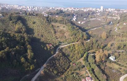 C21 UZMAN DAN VAKFIKEBIR DE 8881M2 SATILIK PROJELİK PARSELLER