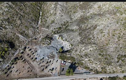 Bodrum Mazı anayola sıfır , icinde kumocaği ,satılık zeytinlik