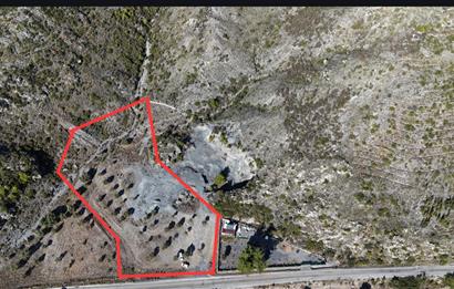 Bodrum Mazı anayola sıfır , icinde kumocaği ,satılık zeytinlik