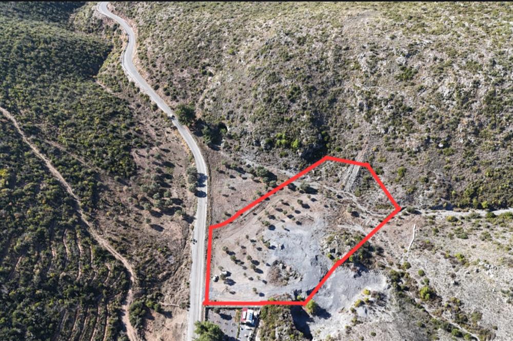 Bodrum Mazı anayola sıfır , icinde kumocaği ,satılık zeytinlik