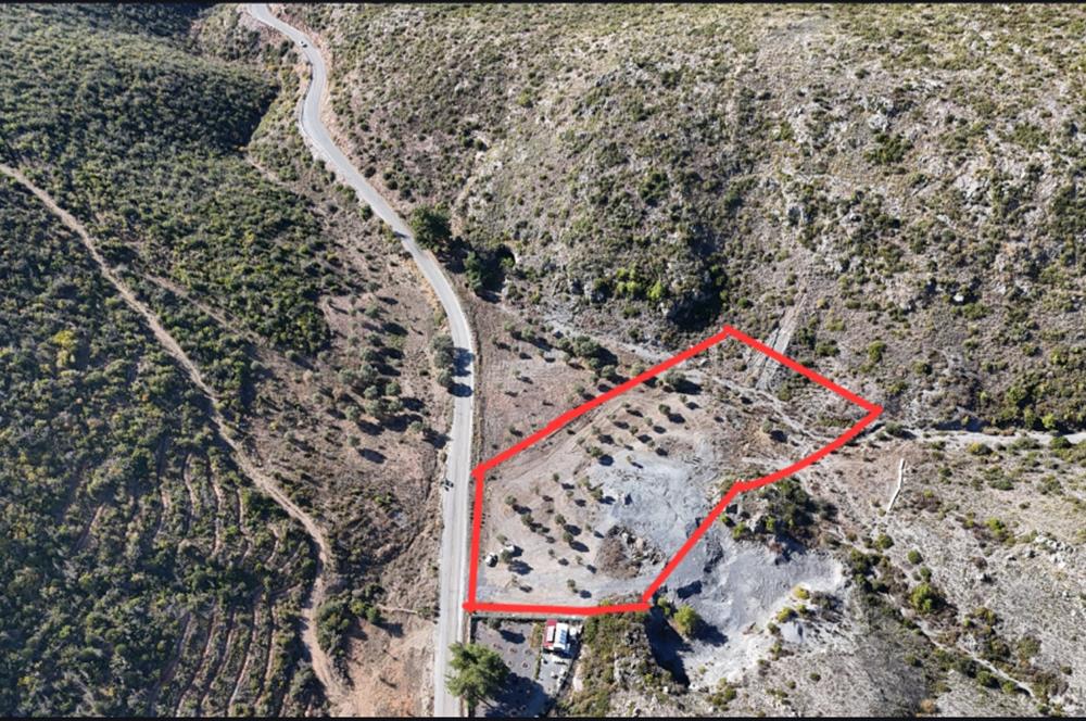 Bodrum Mazı anayola sıfır , icinde kumocaği ,satılık zeytinlik