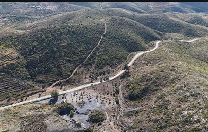 Bodrum Mazı anayola sıfır , icinde kumocaği ,satılık zeytinlik