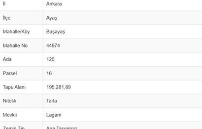 Ayaş Başayaş'da Hisseli Tarla