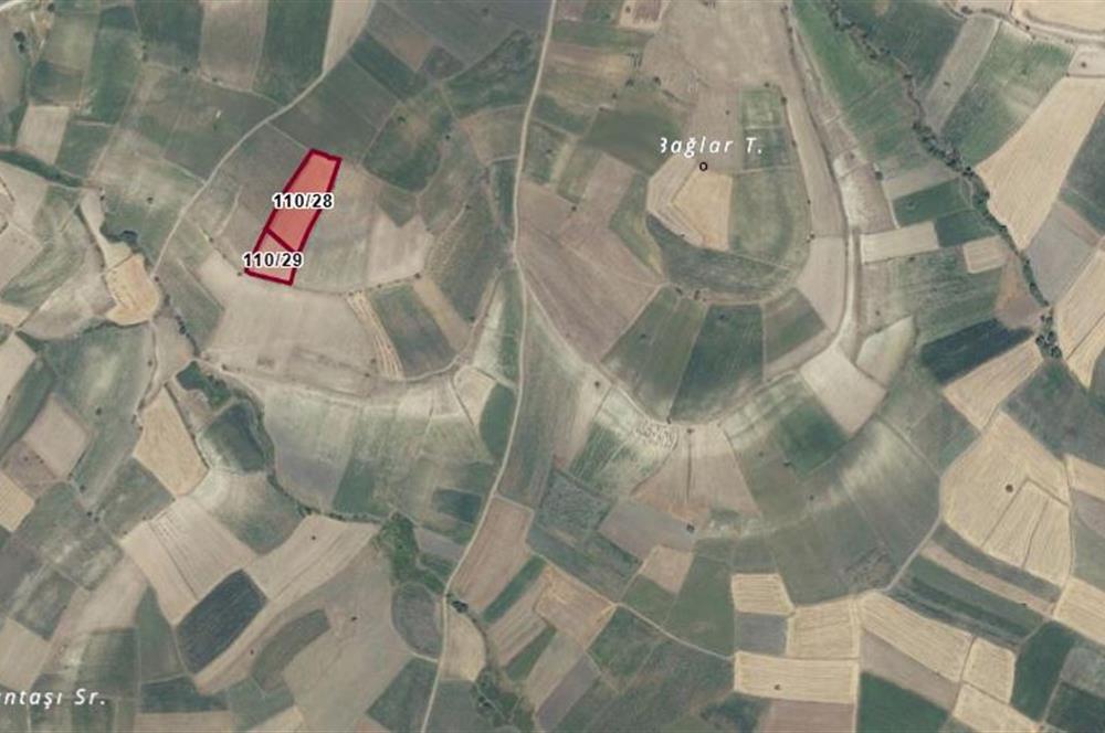 C21 BAL'DAN BALIKESİR YAĞCILAR'DA SATILIK TARLA