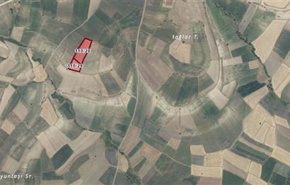 C21 BAL'DAN BALIKESİR YAĞCILAR'DA SATILIK TARLA