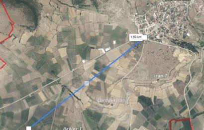 C21 BAL'DAN BALIKESİR YAĞCILAR'DA SATILIK TARLA