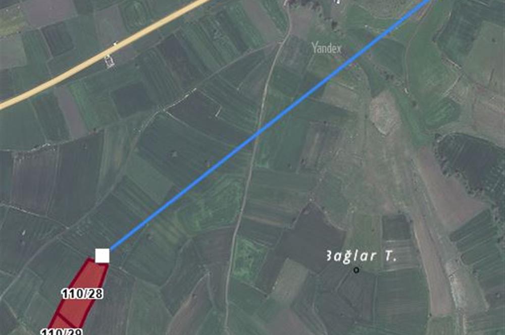 C21 BAL'DAN BALIKESİR YAĞCILAR'DA SATILIK TARLA