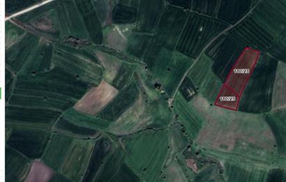 C21 BAL'DAN BALIKESİR YAĞCILAR'DA SATILIK TARLA