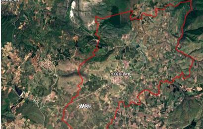 C21 BAL'DAN BALIKESİR YAĞCILAR'DA SATILIK TARLA