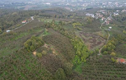 KAZIMPAŞA  SATILIK FINDIKLIK