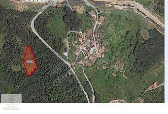 ŞİLEDE ACİL SATILIK TARLA 9.500.000.-TL - 1 - 29581