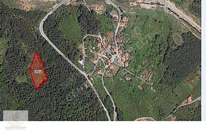 ŞİLEDE ACİL SATILIK TARLA 9.500.000.-TL