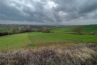 DERİNCE TAHTALI'DA ASFALTA CEPHE FIRSAT TARLA - 1 - 29571