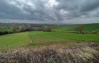 DERİNCE TAHTALI'DA ASFALTA CEPHE FIRSAT TARLA