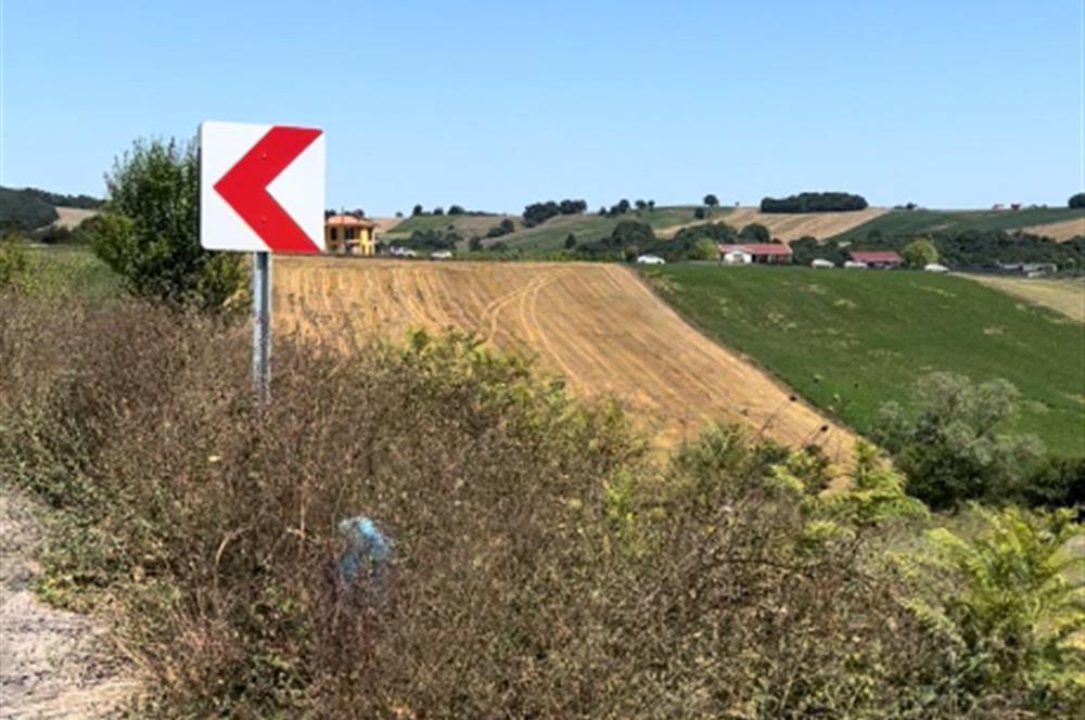 DERİNCE TAHTALI'DA ASFALTA CEPHE FIRSAT TARLA