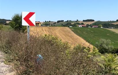 DERİNCE TAHTALI'DA ASFALTA CEPHE FIRSAT TARLA