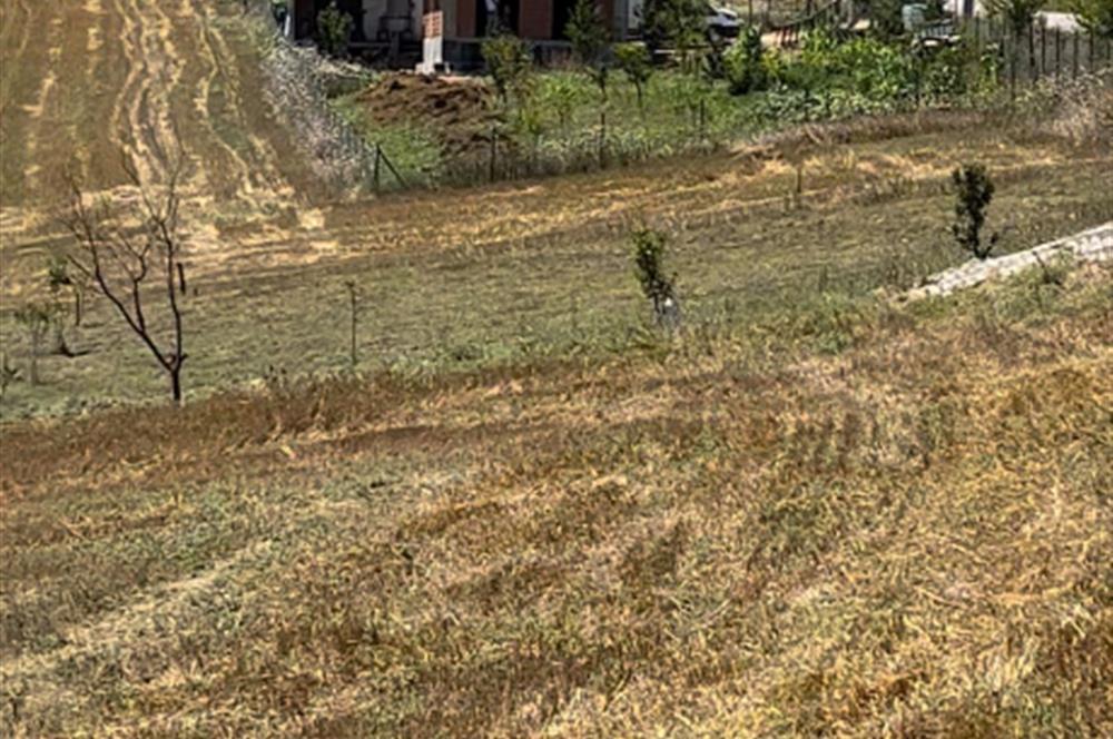 DERİNCE TAHTALI'DA ASFALTA CEPHE FIRSAT TARLA