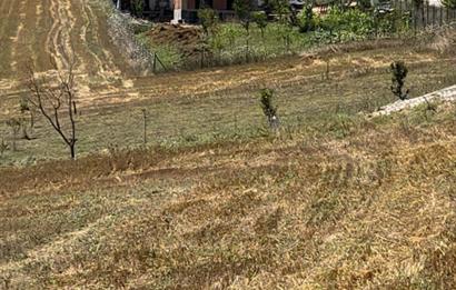 DERİNCE TAHTALI'DA ASFALTA CEPHE FIRSAT TARLA