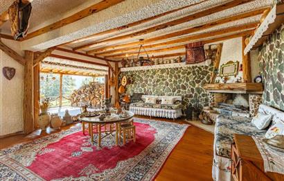 SAPANCA GÖLÜNE SIFIR SATILIK EMSALSİZ VİLLA