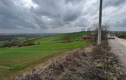 DERİNCE TAHTALI'DA ASFALTA CEPHE FIRSAT TARLA