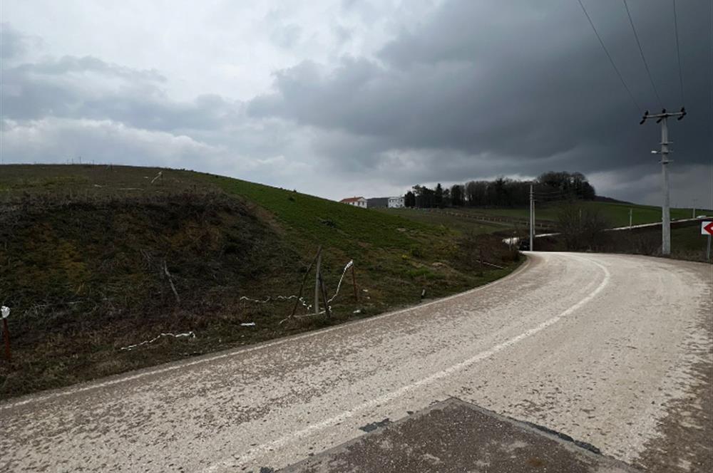 DERİNCE TAHTALI'DA ASFALTA CEPHE FIRSAT TARLA