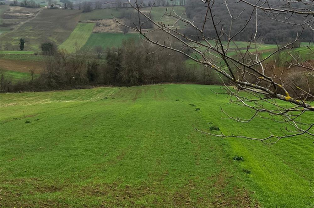 DERİNCE TAHTALI'DA ASFALTA CEPHE FIRSAT TARLA