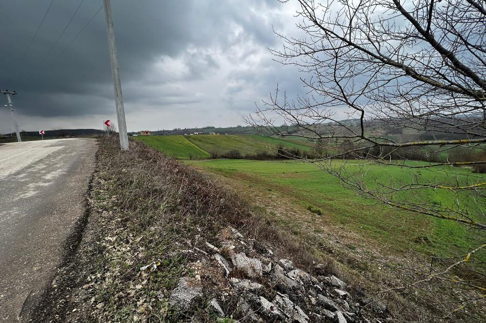 DERİNCE TAHTALI'DA ASFALTA CEPHE FIRSAT TARLA