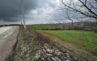 DERİNCE TAHTALI'DA ASFALTA CEPHE FIRSAT TARLA