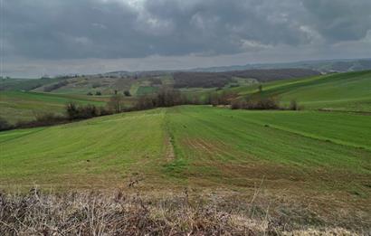 DERİNCE TAHTALI'DA ASFALTA CEPHE FIRSAT TARLA