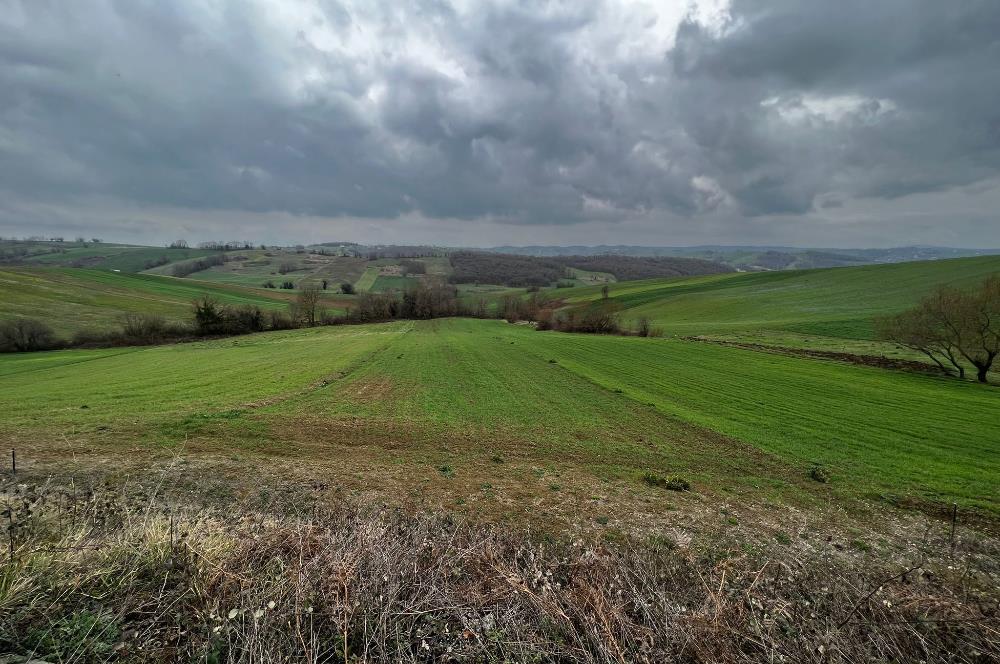 DERİNCE TAHTALI'DA ASFALTA CEPHE FIRSAT TARLA