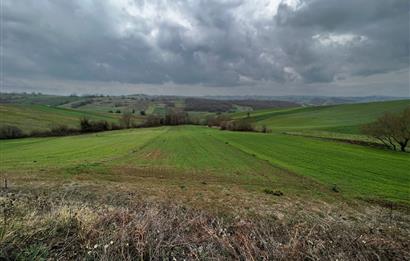 DERİNCE TAHTALI'DA ASFALTA CEPHE FIRSAT TARLA