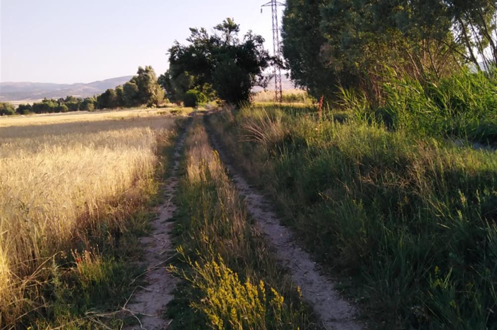 CENTURY 21 PLUS GAYRİMENKULDEN SANDIKLI ÜRKÜTTE SATILIK TARLA