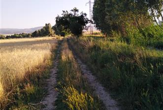 CENTURY 21 PLUS GAYRİMENKULDEN SANDIKLI ÜRKÜTTE SATILIK TARLA - 1 - 29565