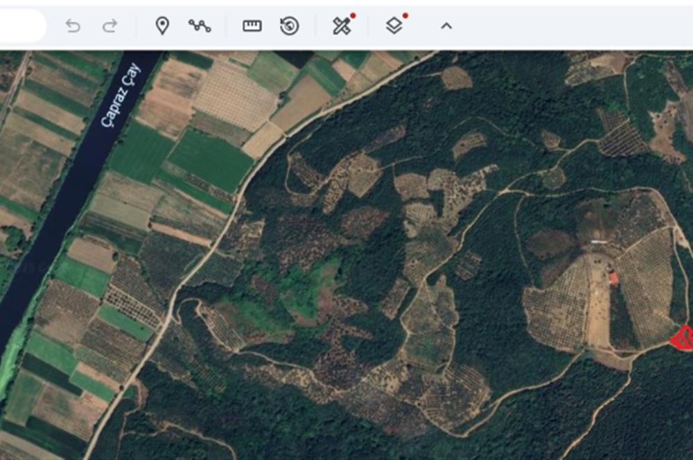 KARACABEY EKİNLİ MAHALLESİNDE YATIRIMLIK SATILIK ZEYTİNLİK