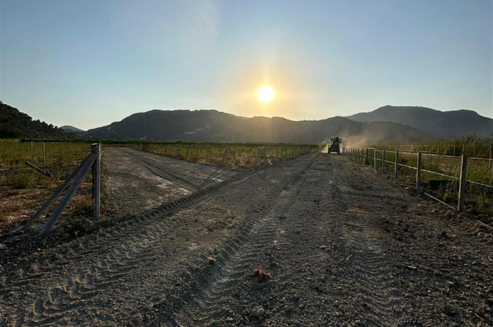 MUĞLA ORTACA SARIGERME GÜZELYURT’TA 600 M² YATIRIMLIK HİSSELİ ARSA – ALTYAPISI HAZIR