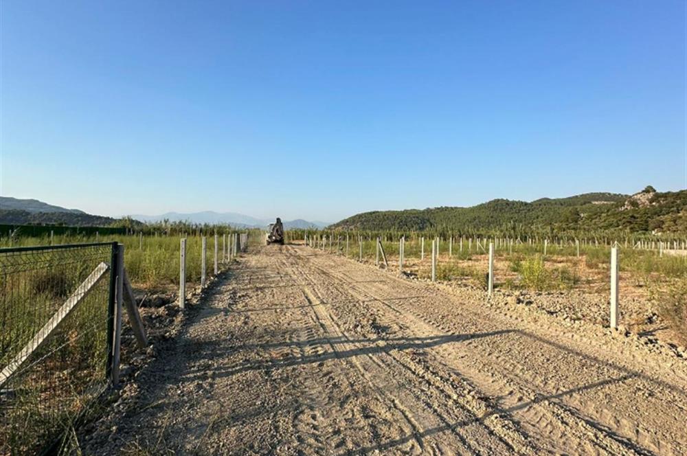 MUĞLA ORTACA SARIGERME GÜZELYURT’TA 600 M² YATIRIMLIK HİSSELİ ARSA – ALTYAPISI HAZIR