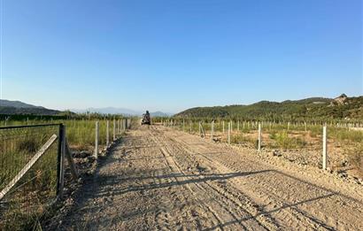 MUĞLA ORTACA SARIGERME GÜZELYURT’TA 600 M² YATIRIMLIK HİSSELİ ARSA – ALTYAPISI HAZIR