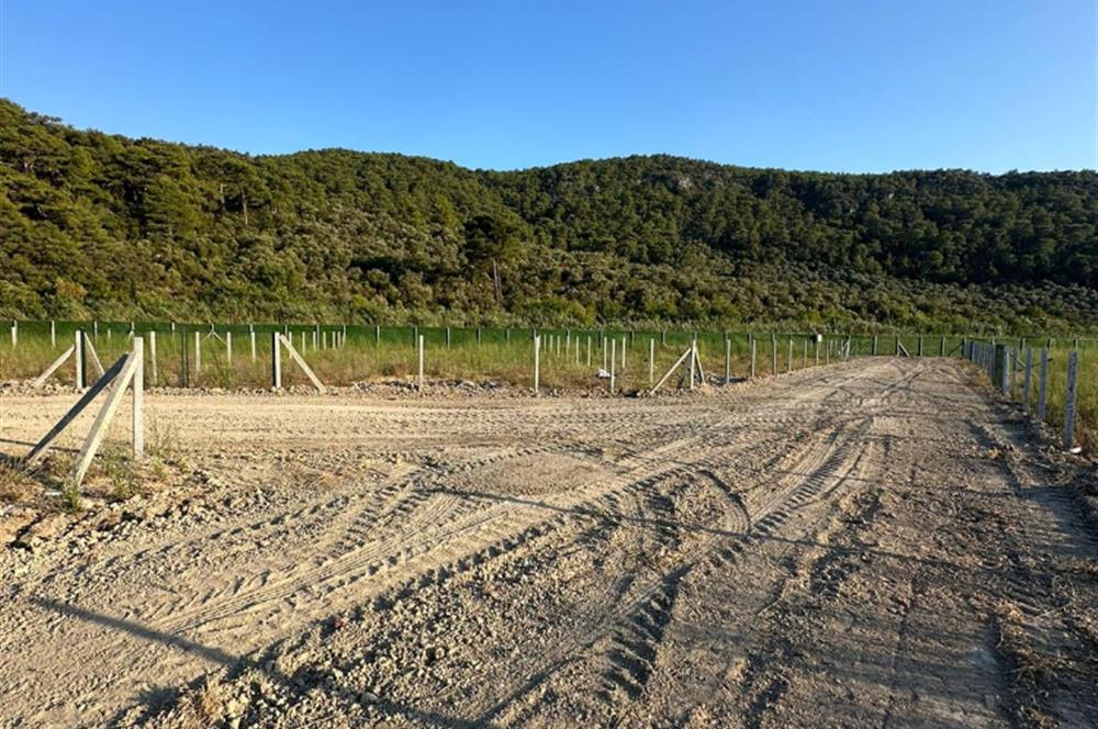 MUĞLA ORTACA SARIGERME GÜZELYURT’TA 600 M² YATIRIMLIK HİSSELİ ARSA – ALTYAPISI HAZIR