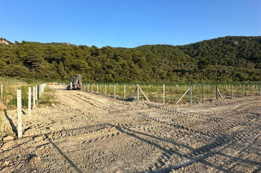 MUĞLA ORTACA SARIGERME GÜZELYURT’TA 600 M² YATIRIMLIK HİSSELİ ARSA – ALTYAPISI HAZIR