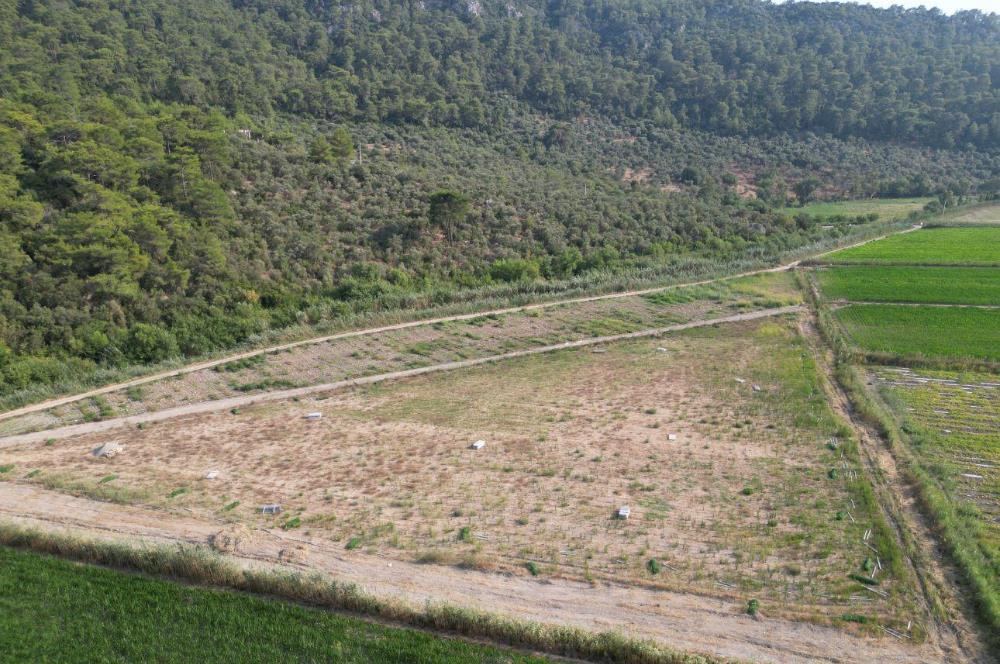 MUĞLA ORTACA SARIGERME GÜZELYURT’TA 600 M² YATIRIMLIK HİSSELİ ARSA – ALTYAPISI HAZIR