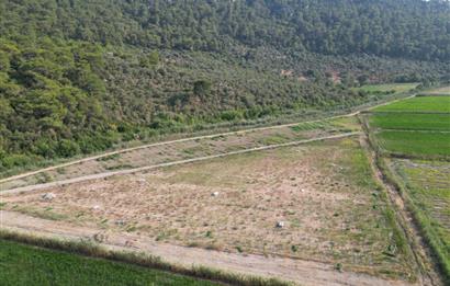 MUĞLA ORTACA SARIGERME GÜZELYURT’TA 600 M² YATIRIMLIK HİSSELİ ARSA – ALTYAPISI HAZIR