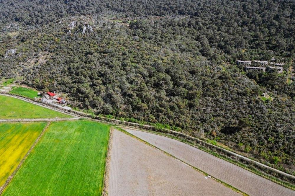 MUĞLA ORTACA SARIGERME GÜZELYURT’TA 600 M² YATIRIMLIK HİSSELİ ARSA – ALTYAPISI HAZIR