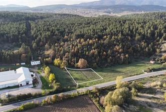 C21'DEN YATIRIMLIK TARLA - 2 - 29605