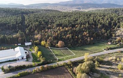 C21'DEN YATIRIMLIK TARLA