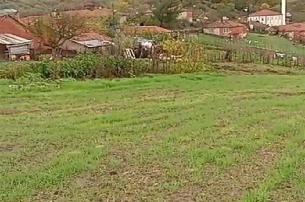 C21 BAL'DAN SAVAŞTEPE PELİTÇİK MAHALLESİ KÖYİÇİ SATILIK TARLA